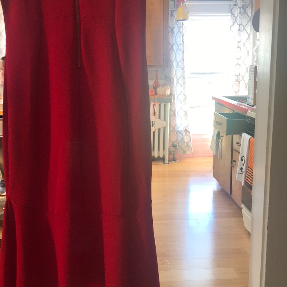 Huge Sale. RedDress For the Holiday Gold Zipper - Picture 5 of 5